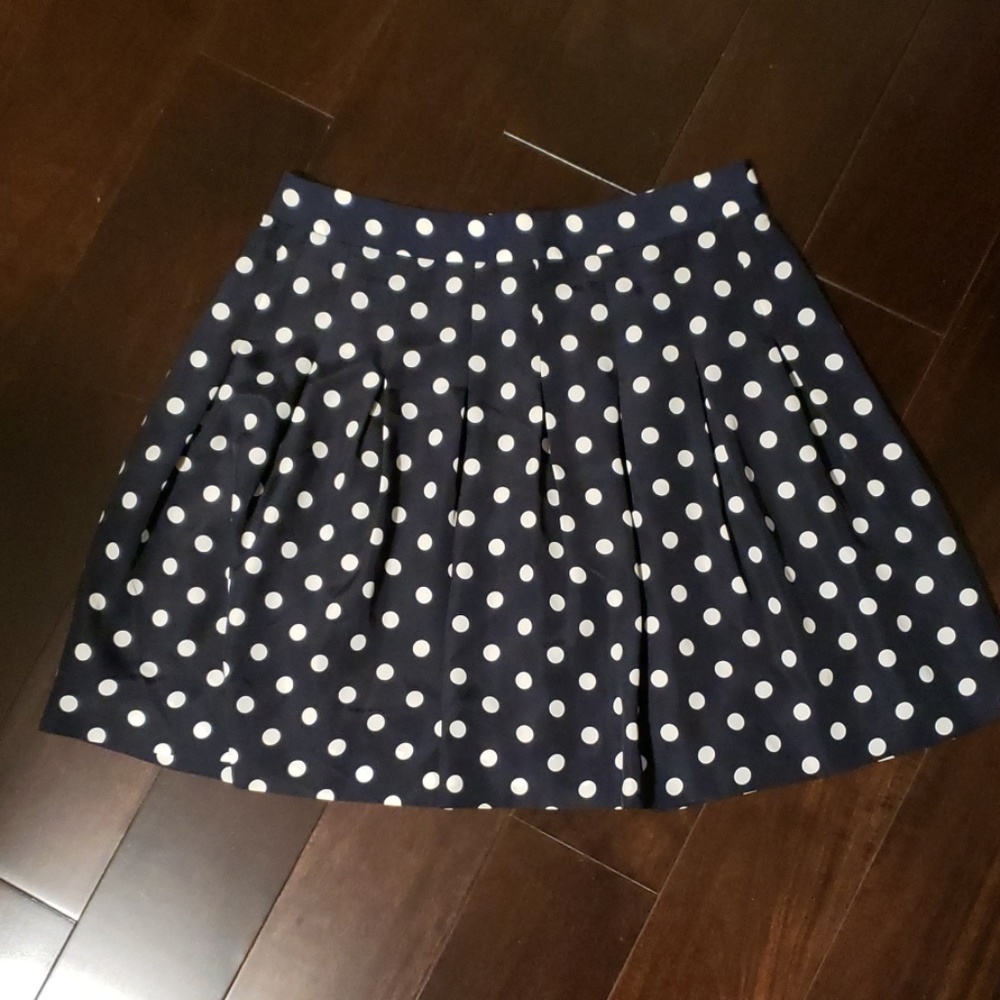 Jcrew Pokadot Navy Skirt